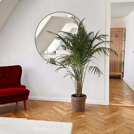 Apartment 6 Persons *